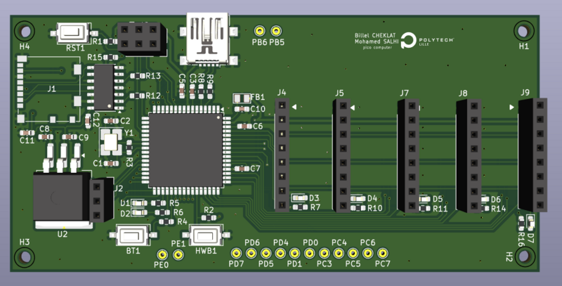 Fichier:Vue3D cm pico.png