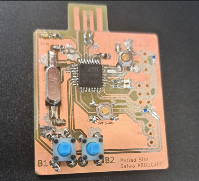 Fichier:2025 PSE-G08-PCB-carte.png