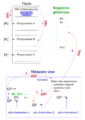 Vignette pour la version du 9 octobre 2023 à 14:55