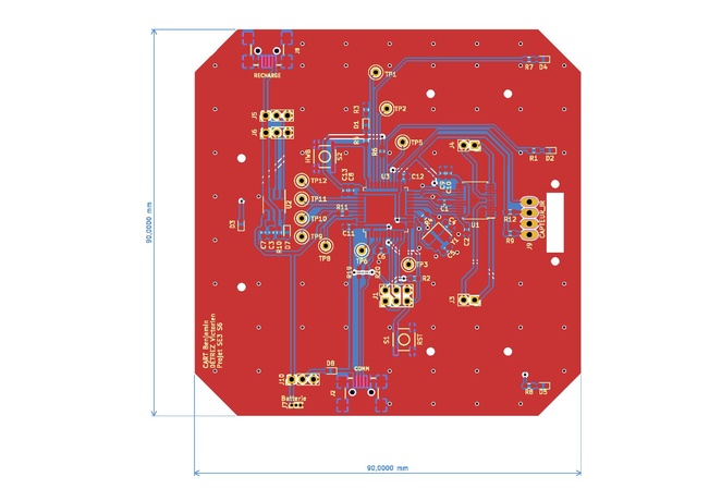 Rootage final.pdf