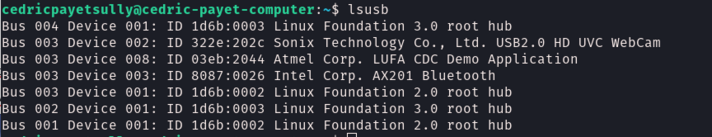 Terminal - cmd lsusb avec carte.png