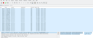 Wireshark.png