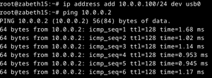 Ping vers la carte RNDIS